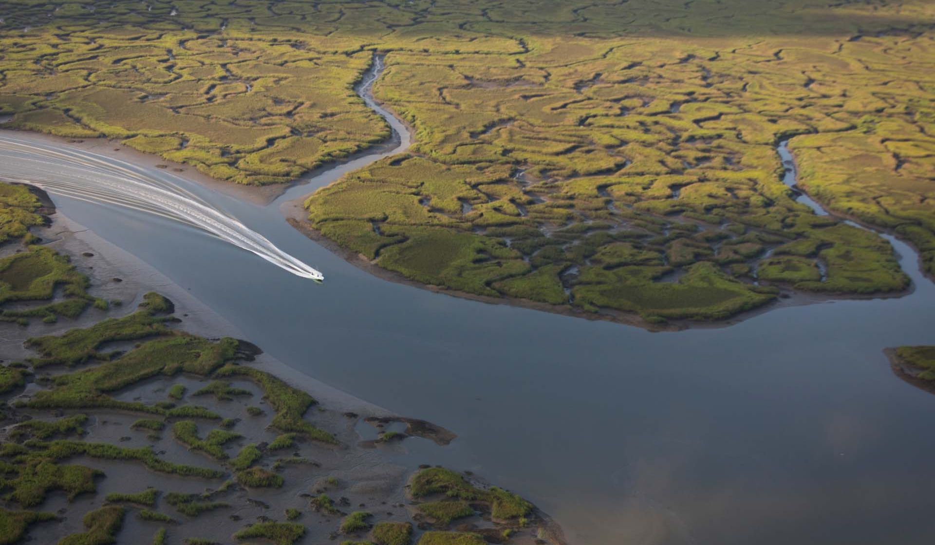 Boat going through Salt Marsh