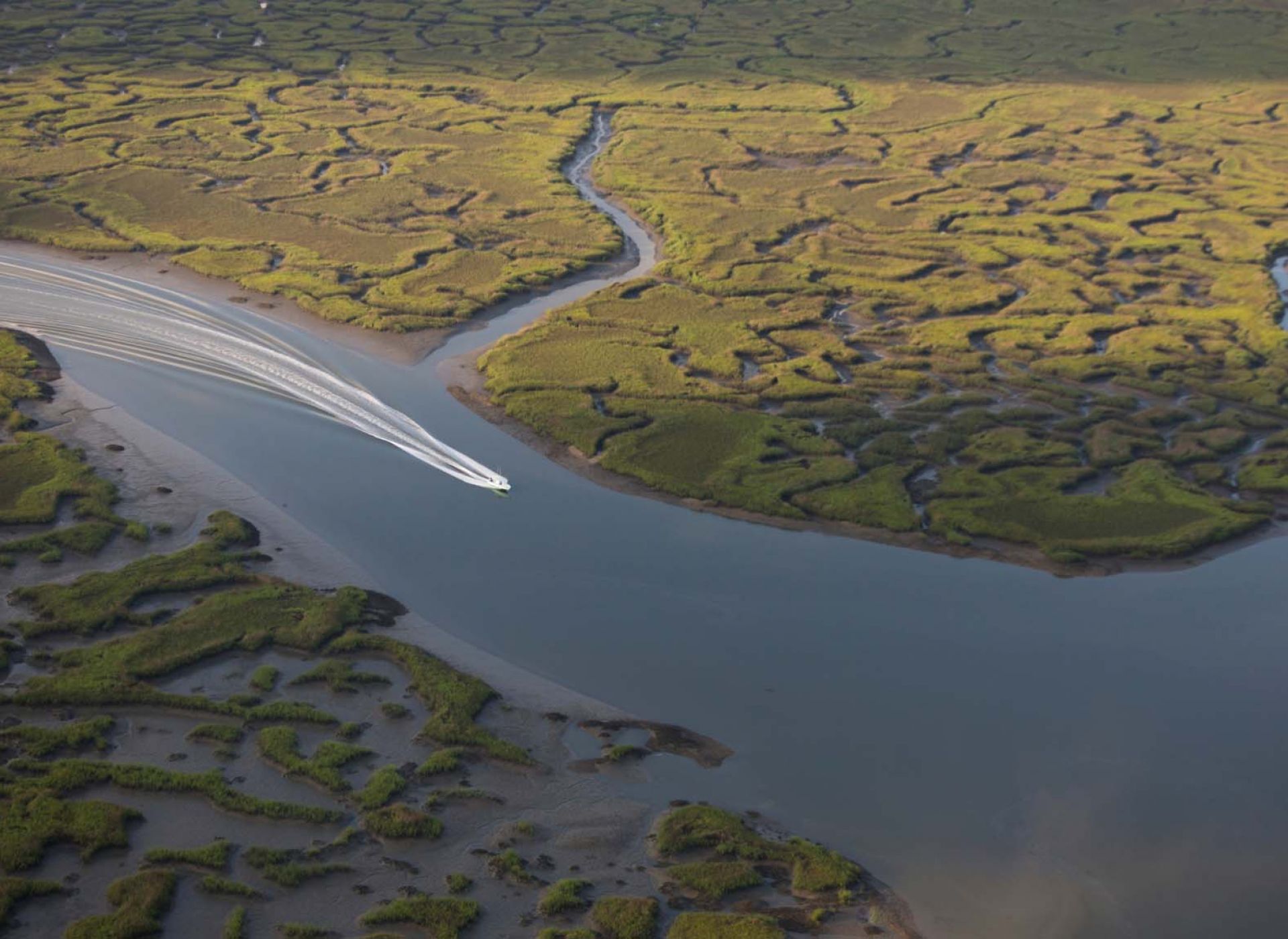 Boat going through Salt Marsh