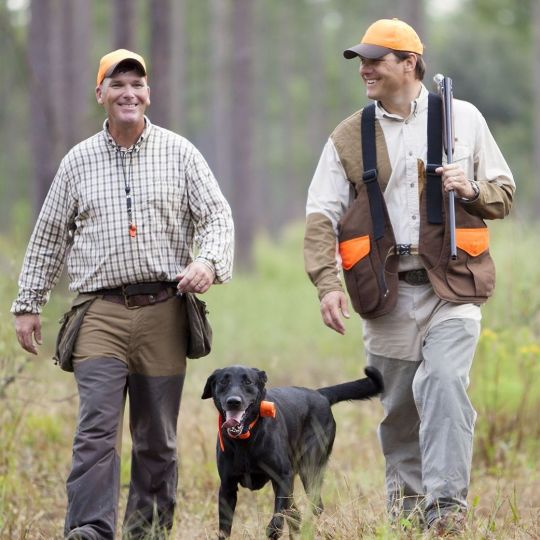 Men and Dog Hunting