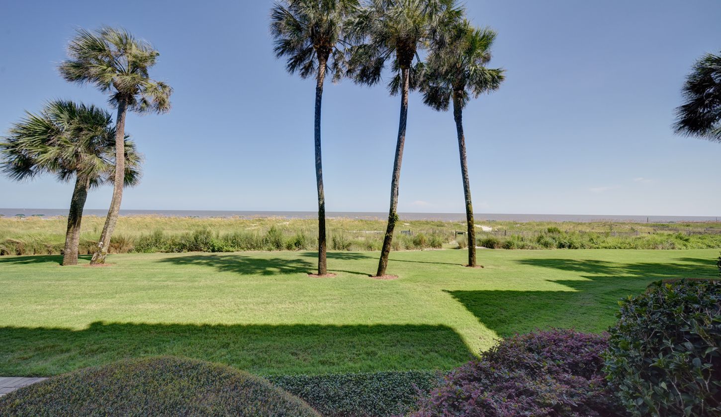 Backyard with view of greenery