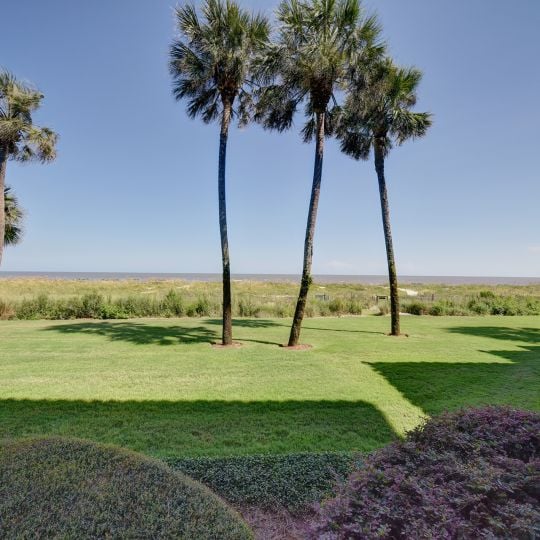 Backyard with view of greenery