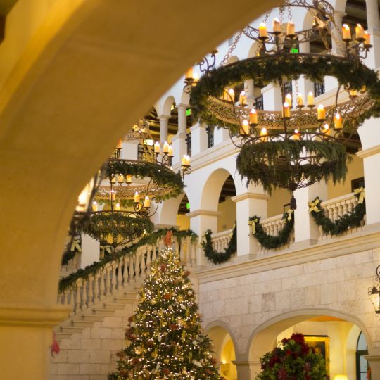 Christmas tree at The Cloister