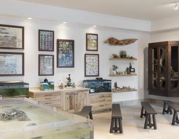 Sea Island Resort's Nature Center Beach Club