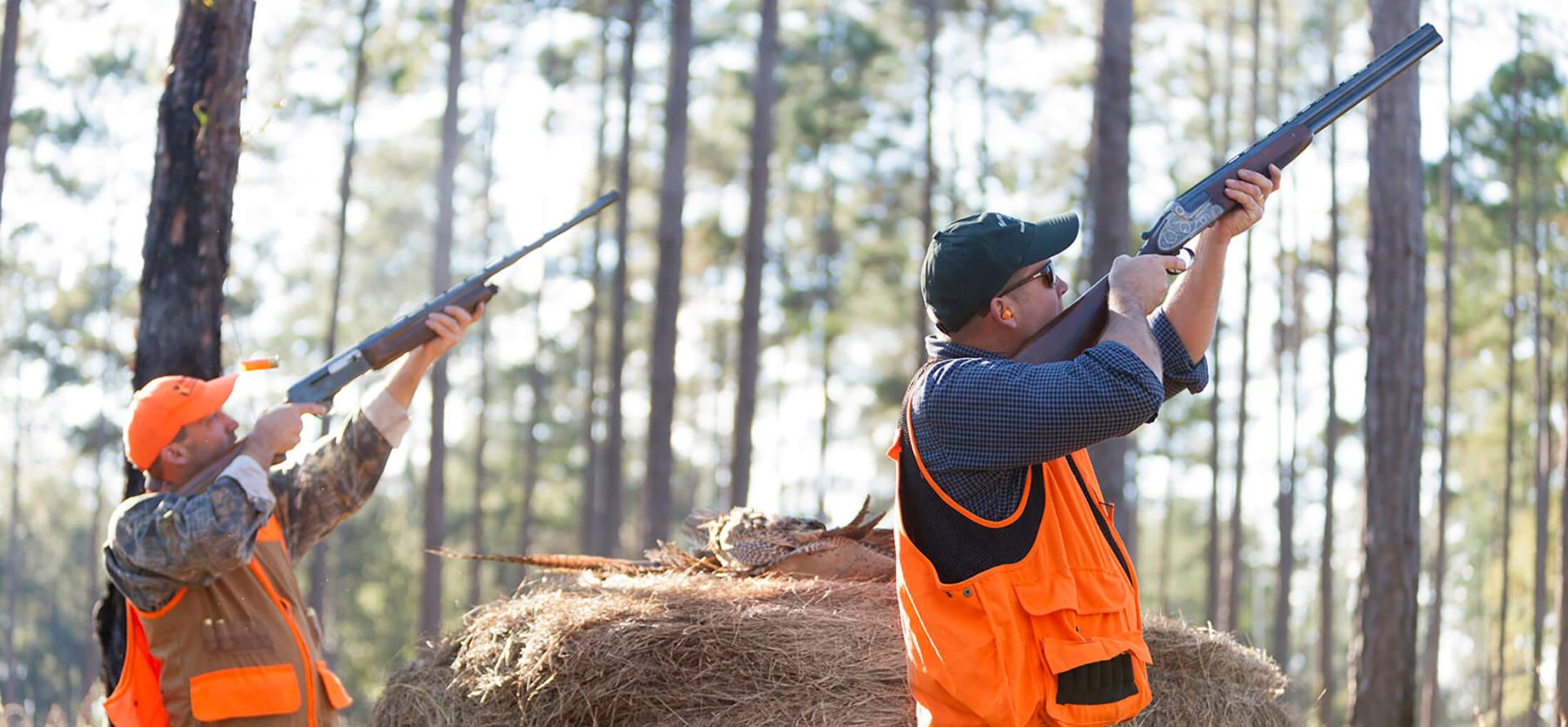 Half-Day Quail Hunts