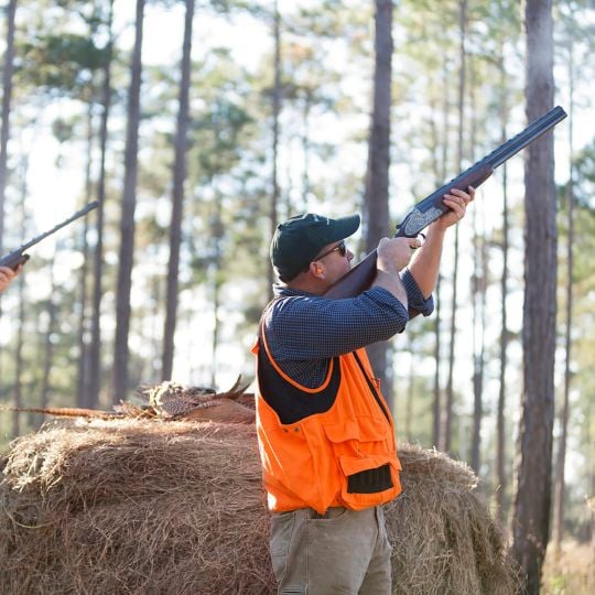 Half-Day Quail Hunts