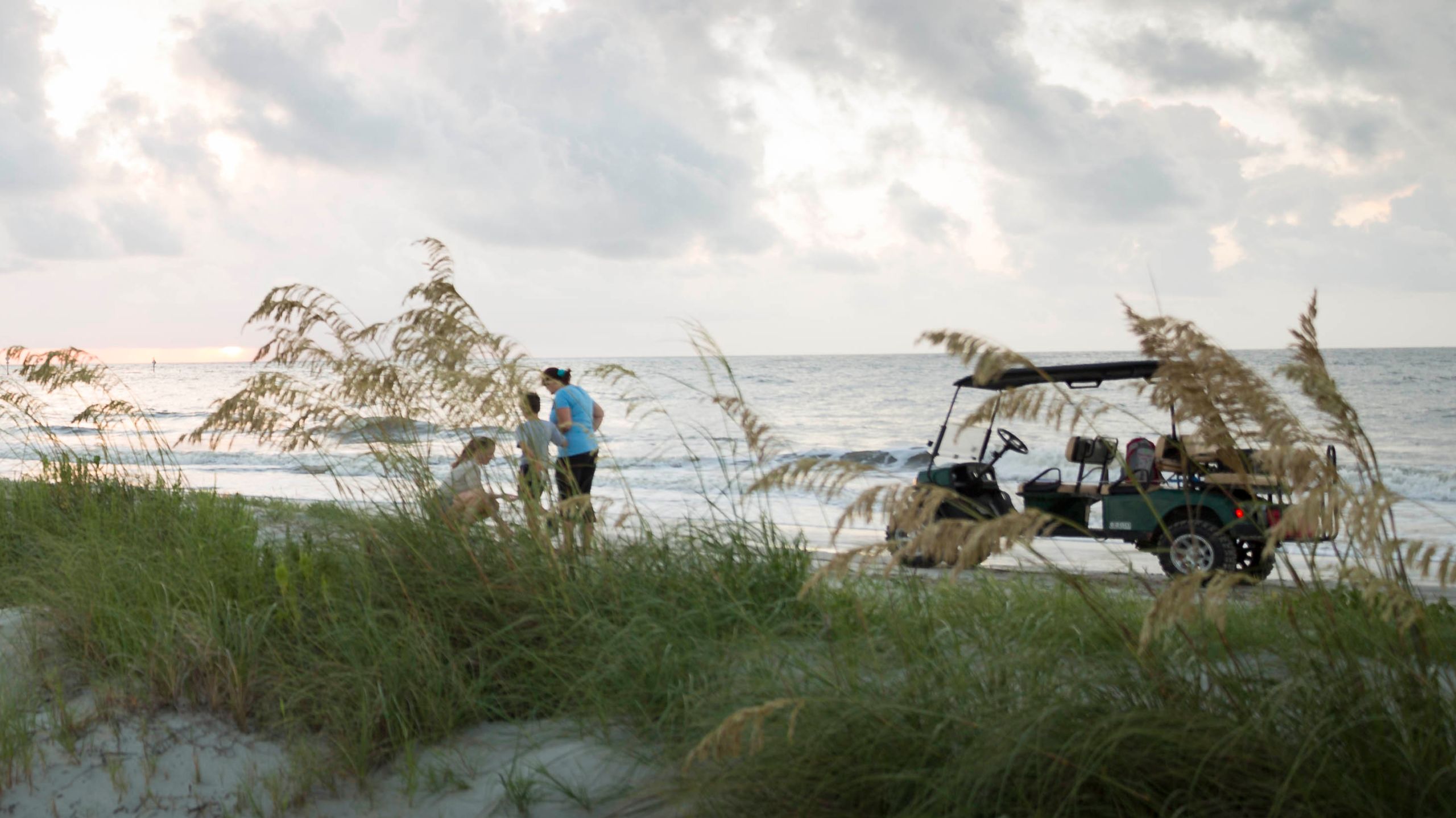 AdoptANest Corporate Package Sea Island Resort