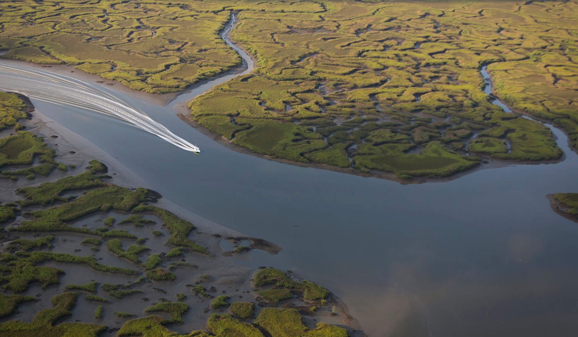 Salt Marsh Dolphin Tour