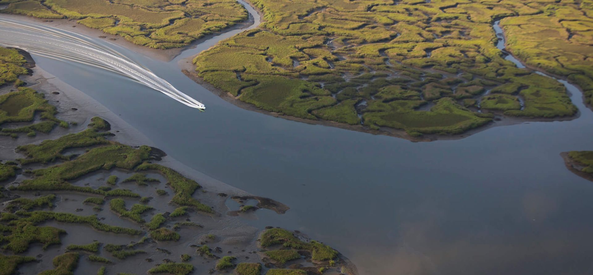 Salt Marsh Dolphin Tour