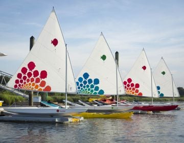 A series of colorful sailboats from rainbow island water sports at Sea Island Resort