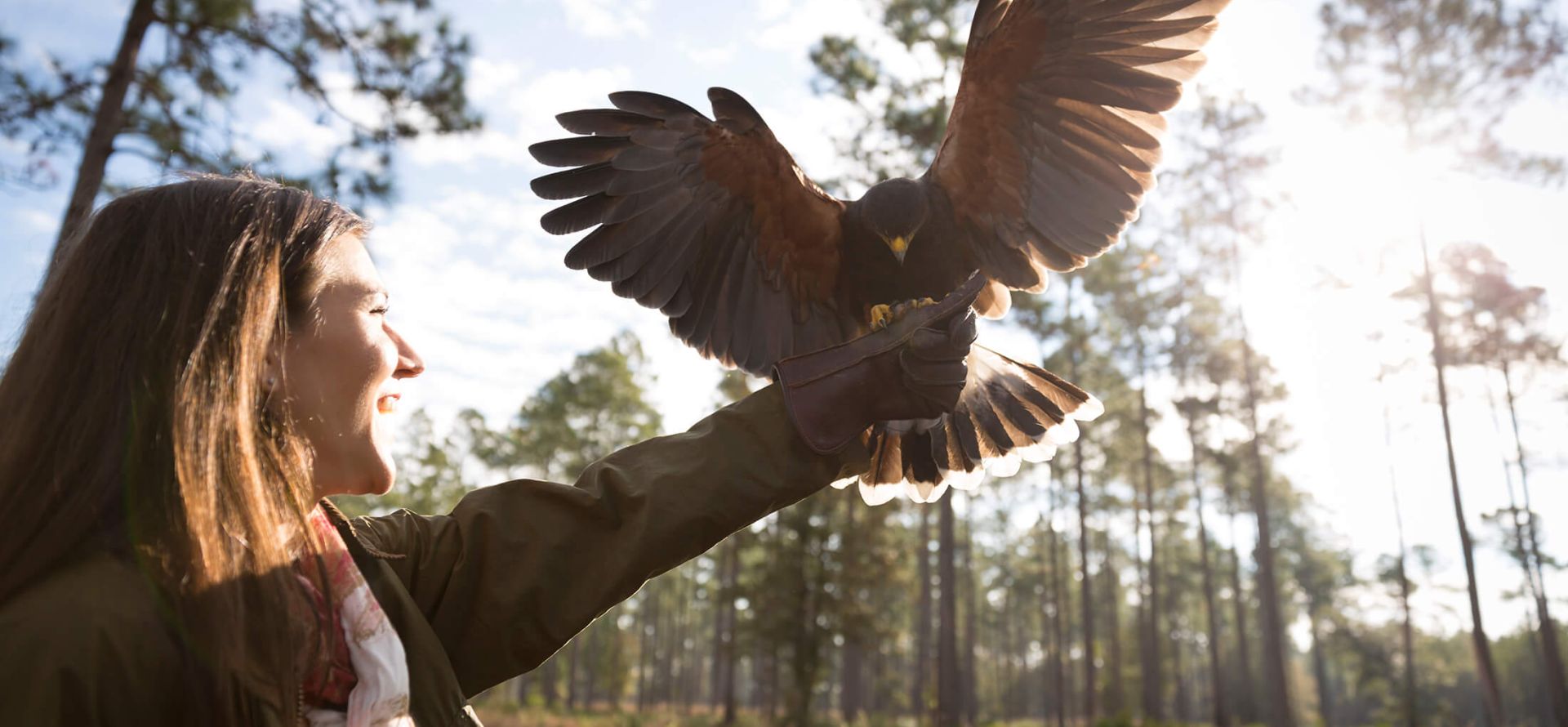 The Falconry Experience at Broadfield