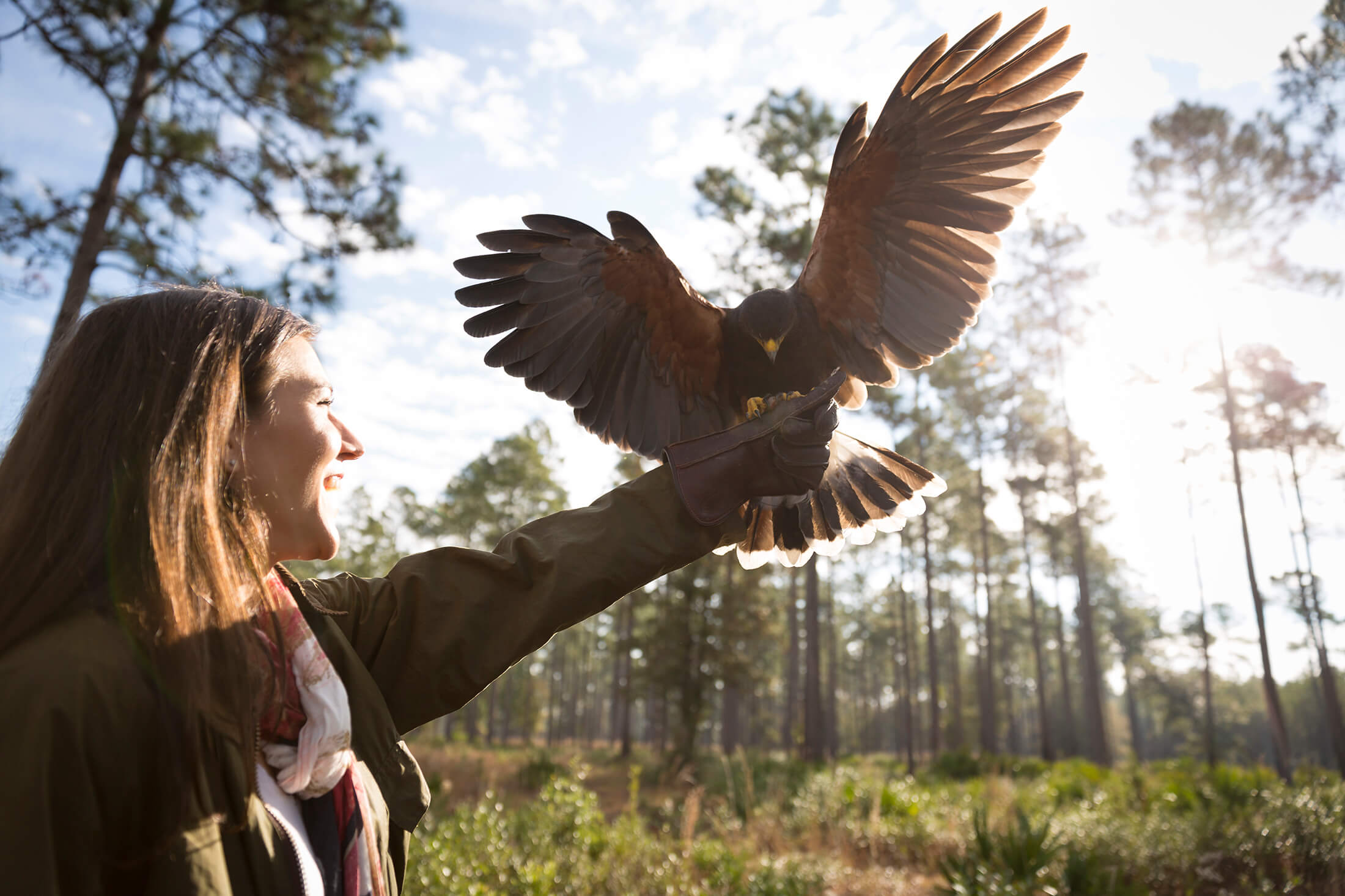The Falconry Experience at Broadfield Sea Island Resort