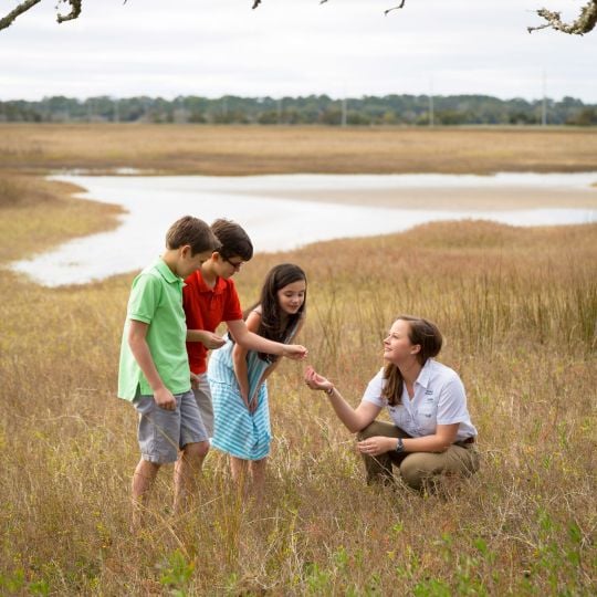 Sea Island Junior Naturalist