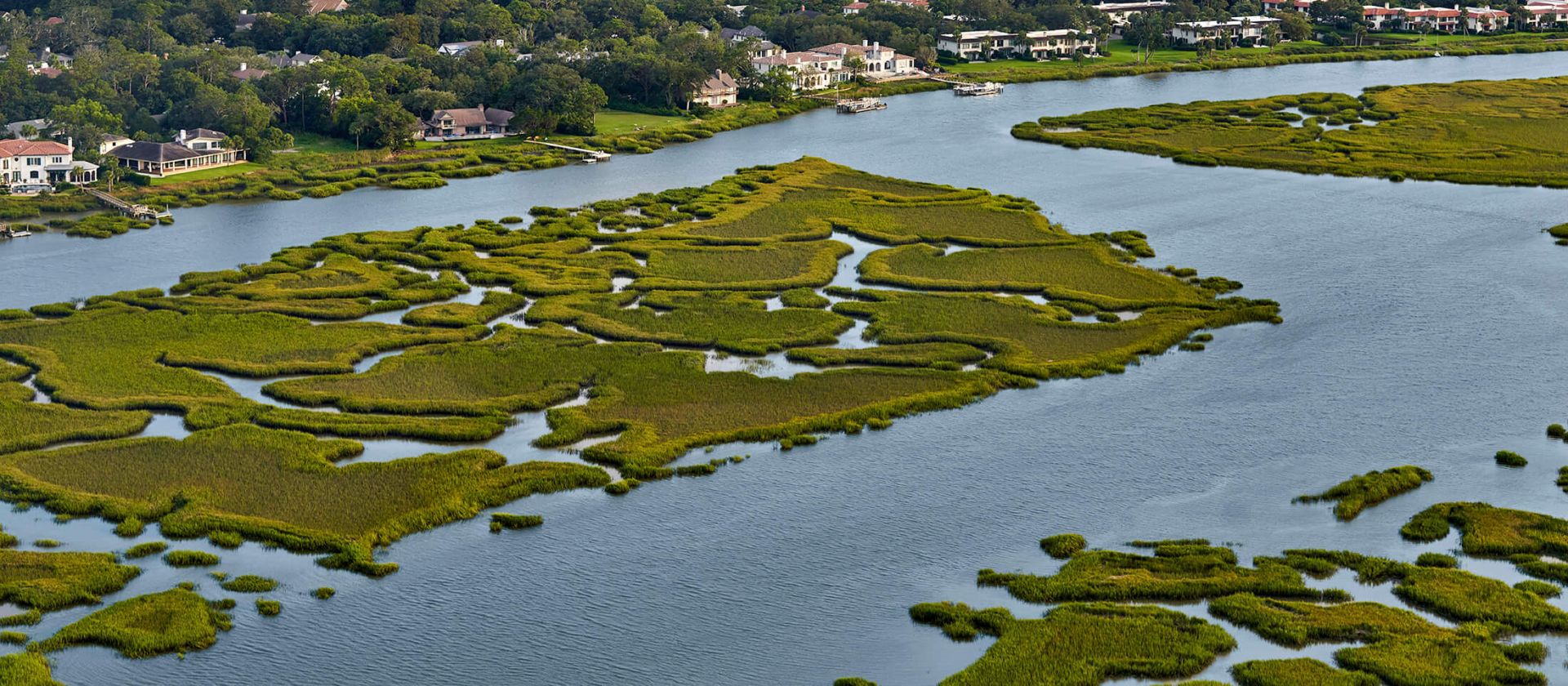 Private Salt Marsh Nature and Dolphin Tour