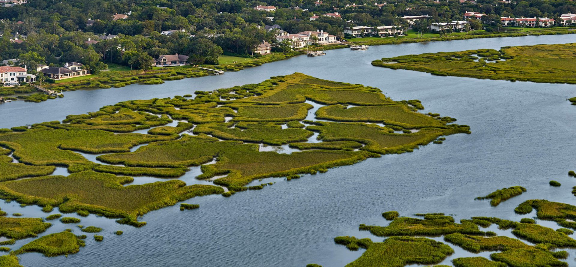 Private Salt Marsh Nature and Dolphin Tour