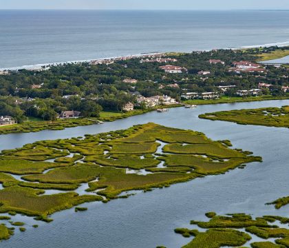 Private Salt Marsh Nature and Dolphin Tour