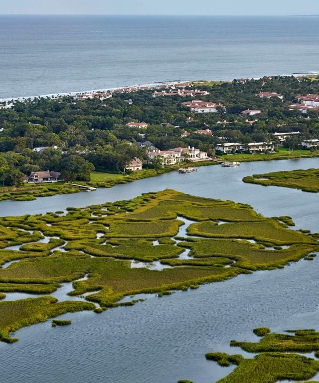 Private Salt Marsh Nature and Dolphin Tour