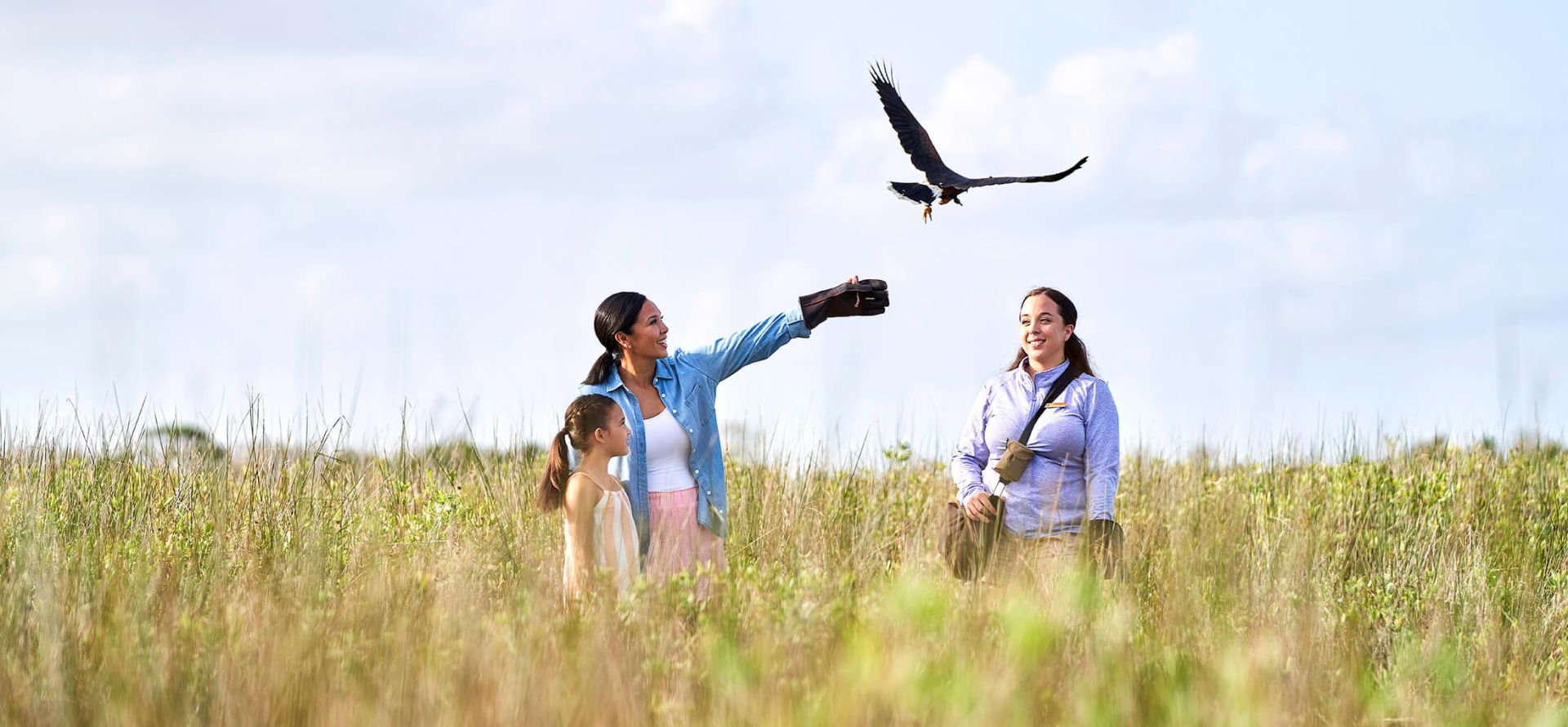 Hawk Walk at Rainbow Island