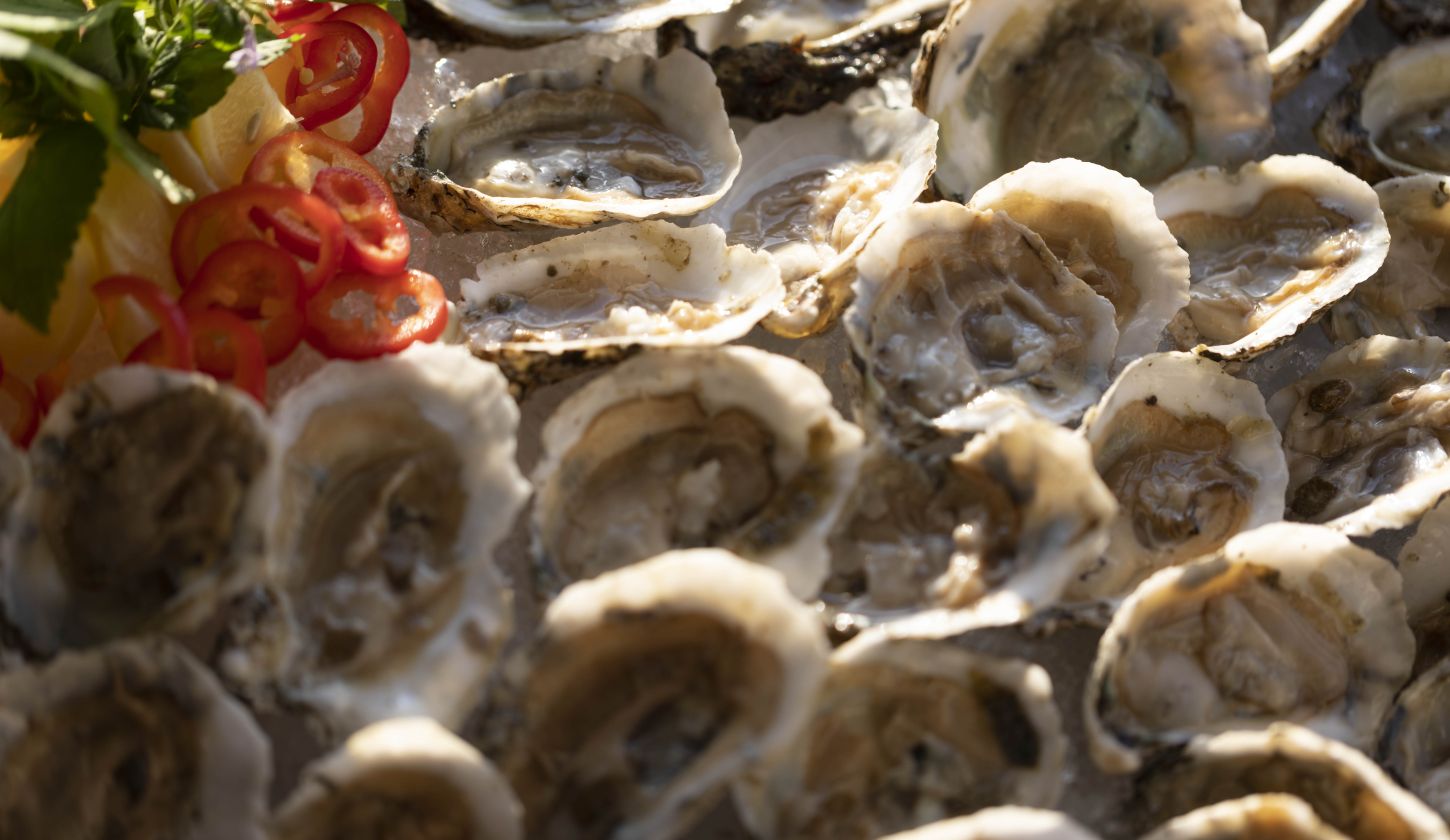 Seasonal Dining Menus & Events | Sea Island Resort