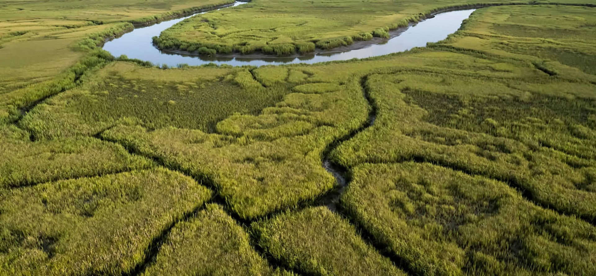 Marsh Habitat and Wildlife Walk