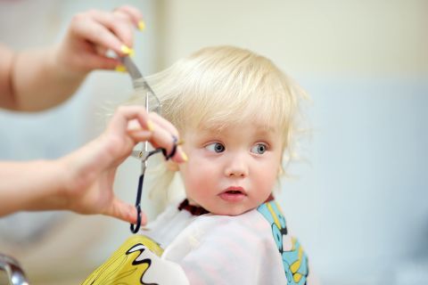 Shampoo, Cut and Style