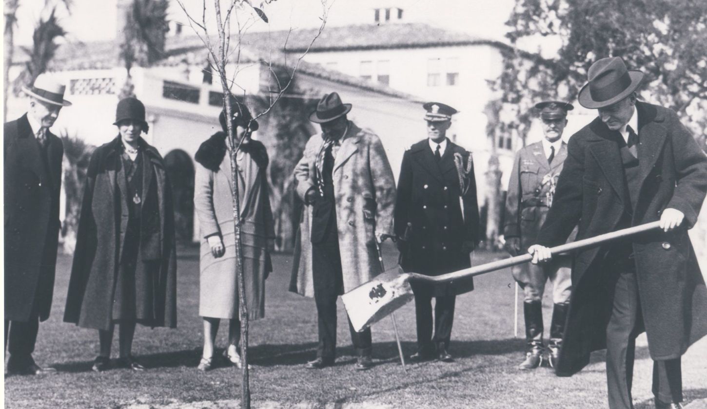 President Calvin Coolidge planting oak trees