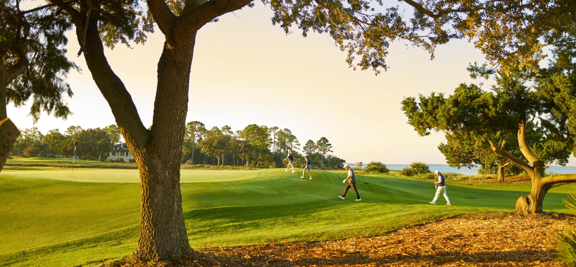 view of golf course with tree