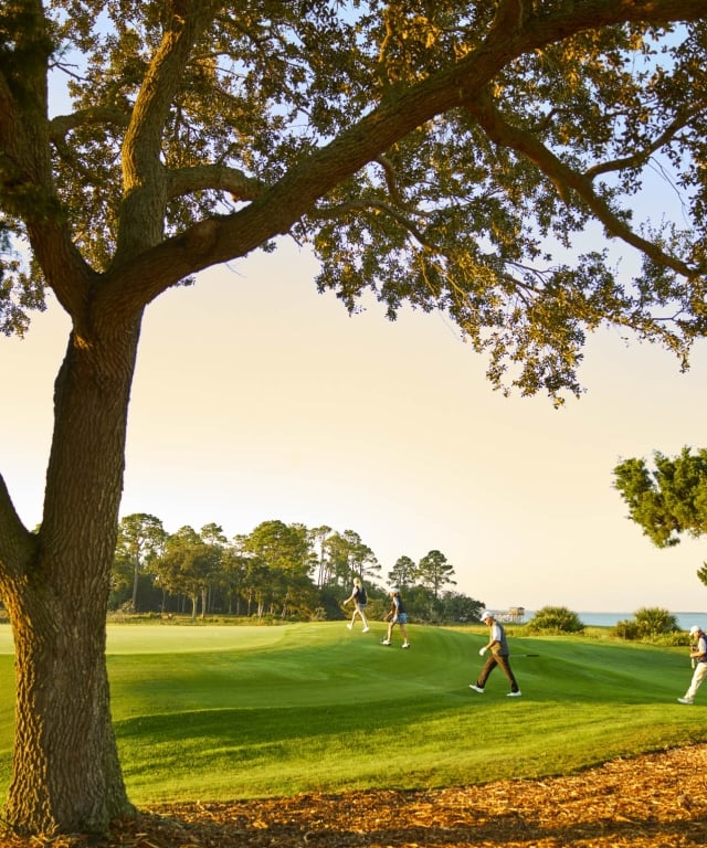 view of golf course with tree
