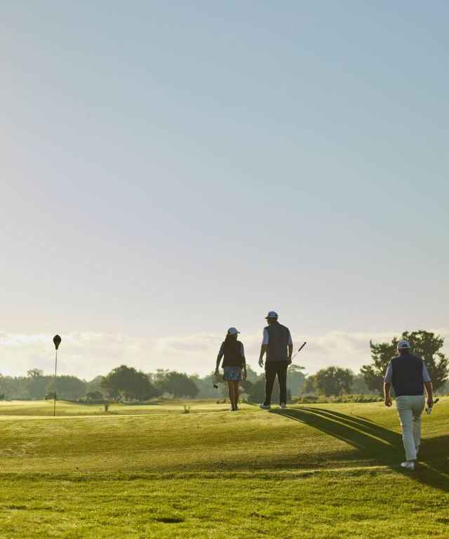 view of golf course golden isles