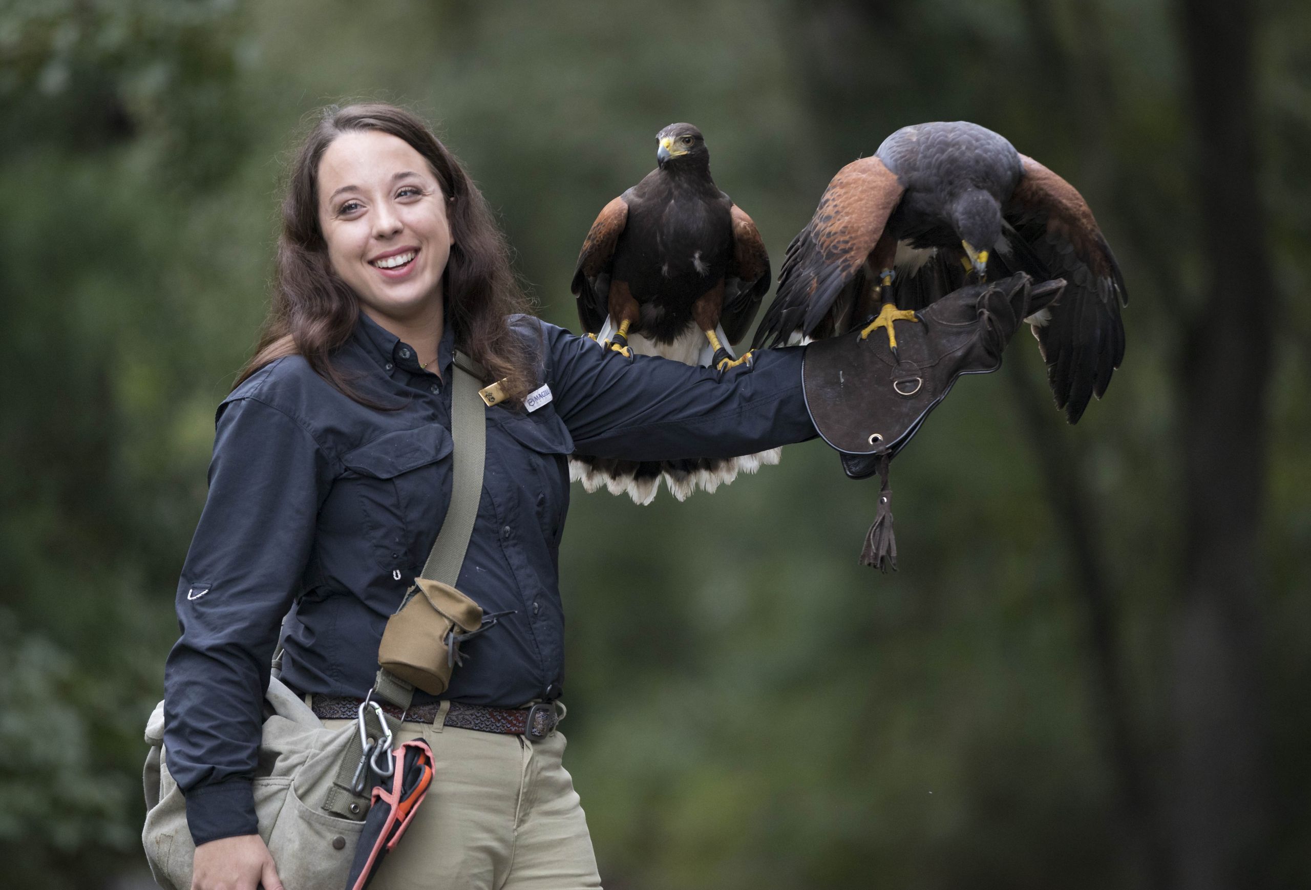 The Falconer’s Apprentice