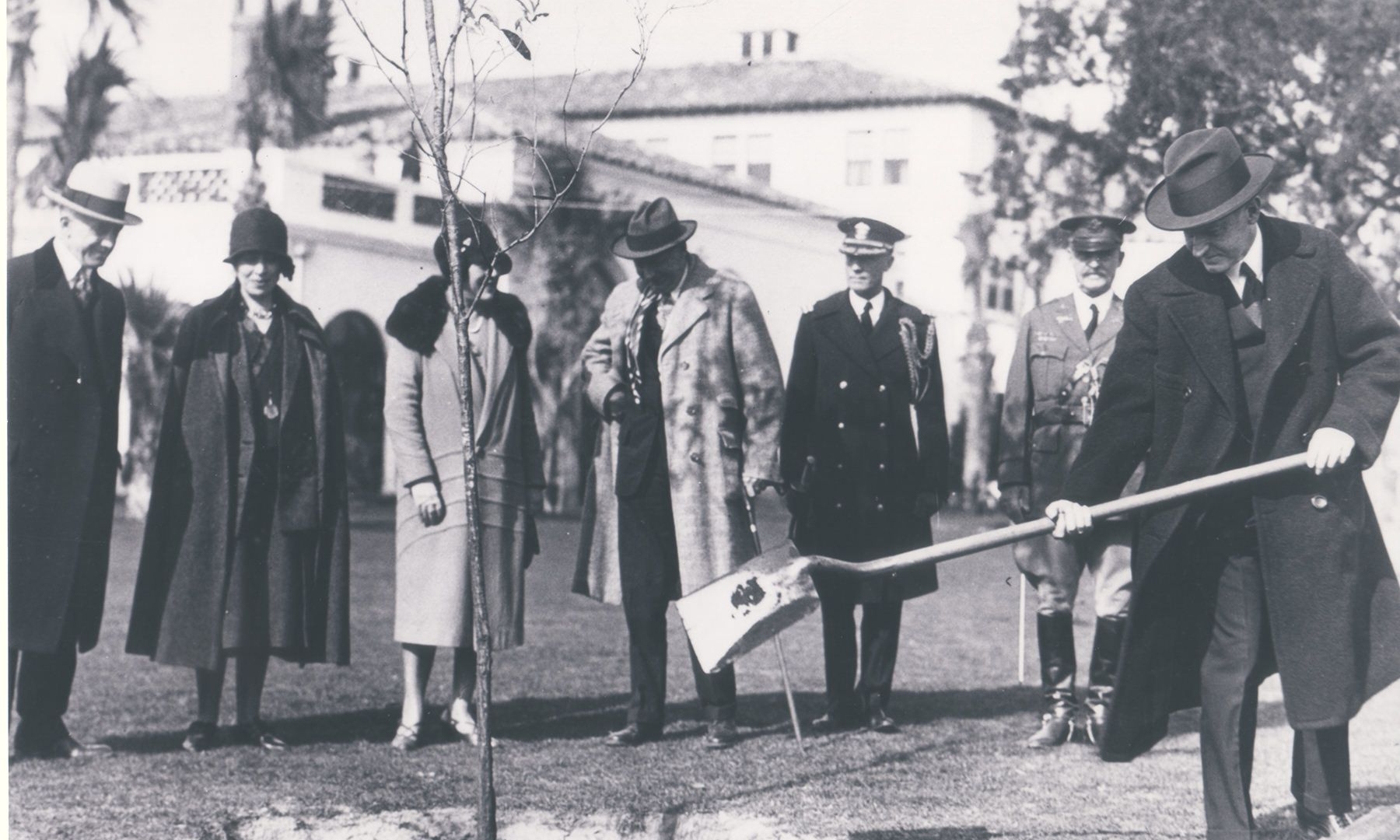 Historical photo of Presidential Oak Sea Island