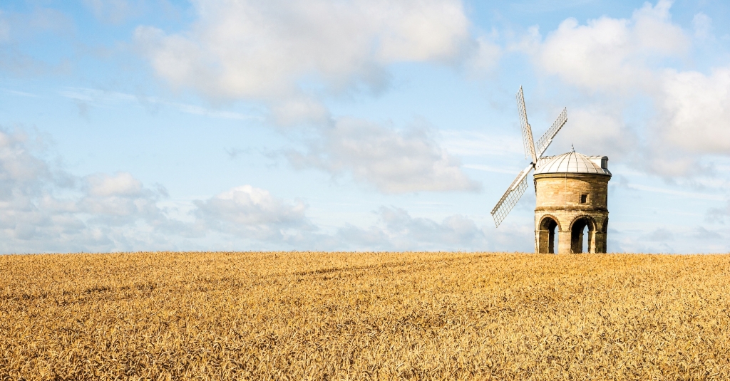 The unique arched stone tower of Chesterton windmill in a field of golden corn on a sunny summer day - Warwickshire UK