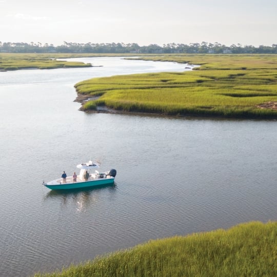 Inshore fishing in the Black Banks River