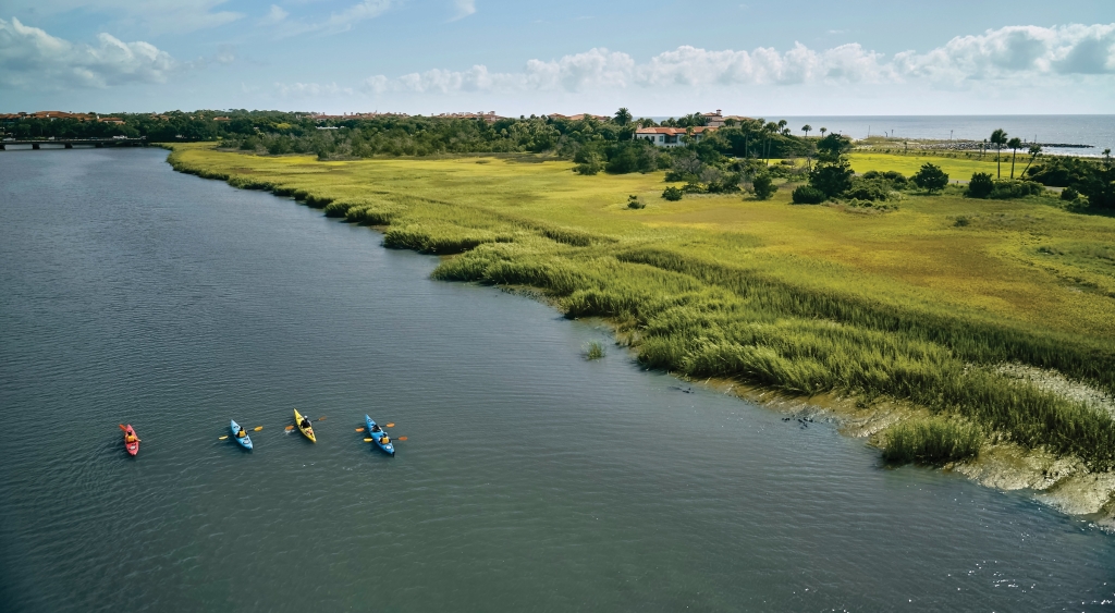 Kayaking in the Black Banks River.