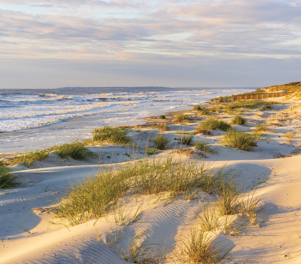 Dunes with patchy grass in light of rising sun at high tide along a sandy beach with boardwalk access on a barrier island along the Atlantic coast of Georgia, USA, in springtime