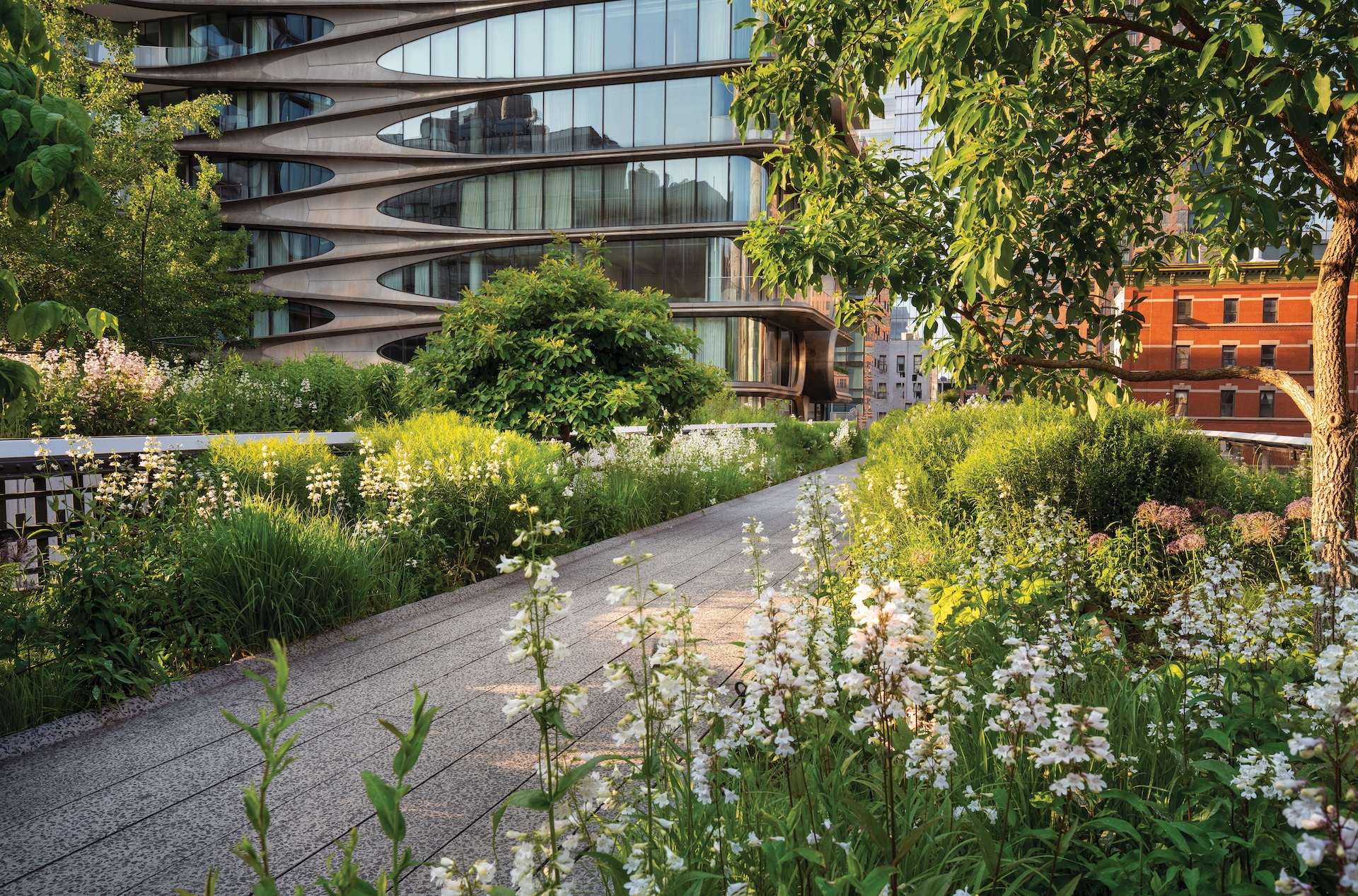 The High Line promenade in summer. Elevated greenway park in the heart of Chelsea, Manhattan. New York City