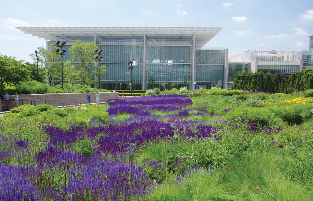 Chicago’s Lurie Garden in Millennium Park