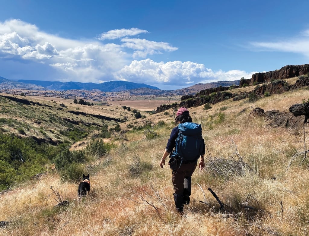 Rogue Detection Founders Jennifer Hartman and Heath Smith in the field with conservation dogs