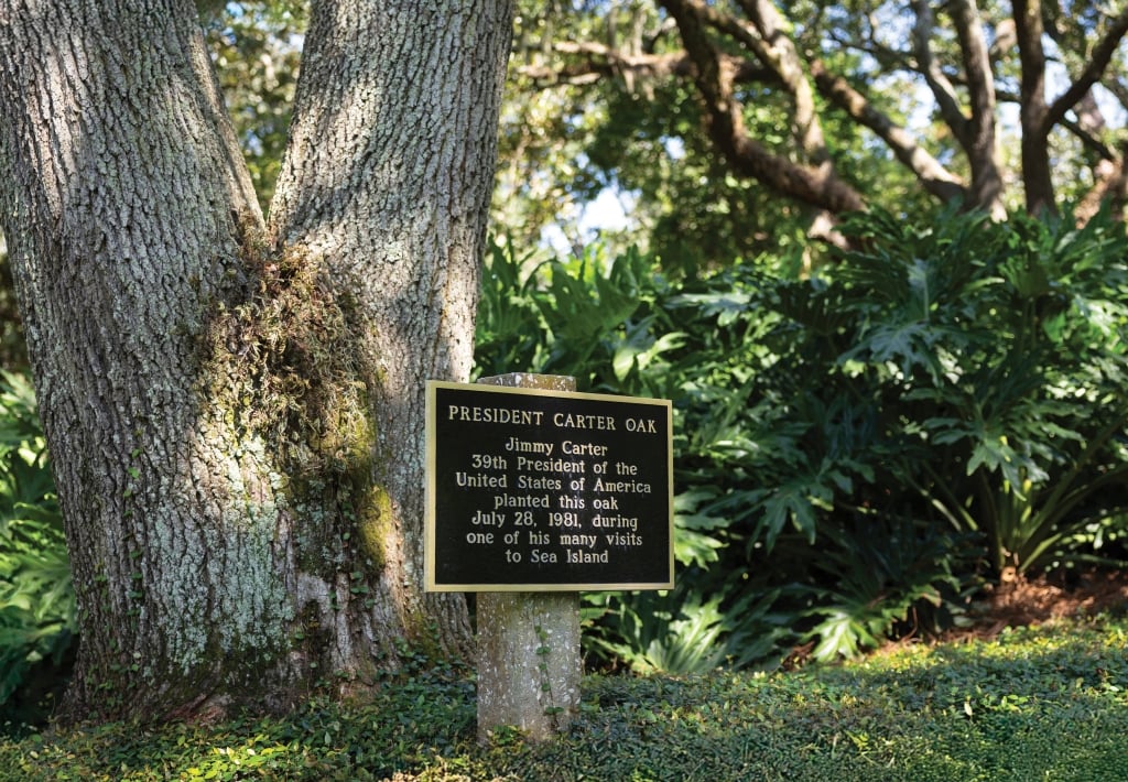 The President Carter Oak at The Cloister