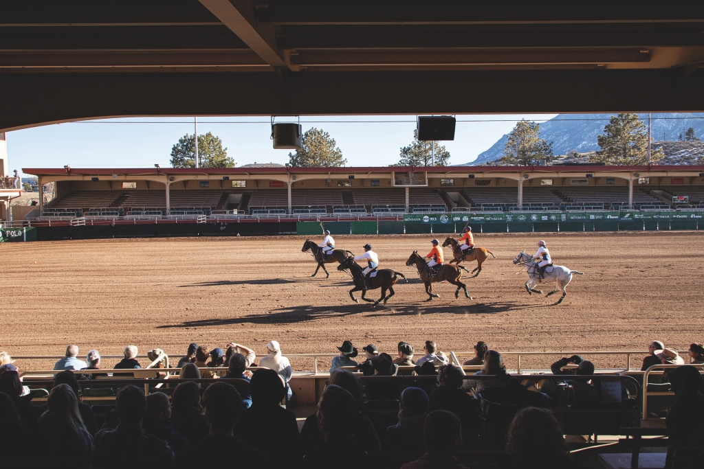 A polo match with spectators