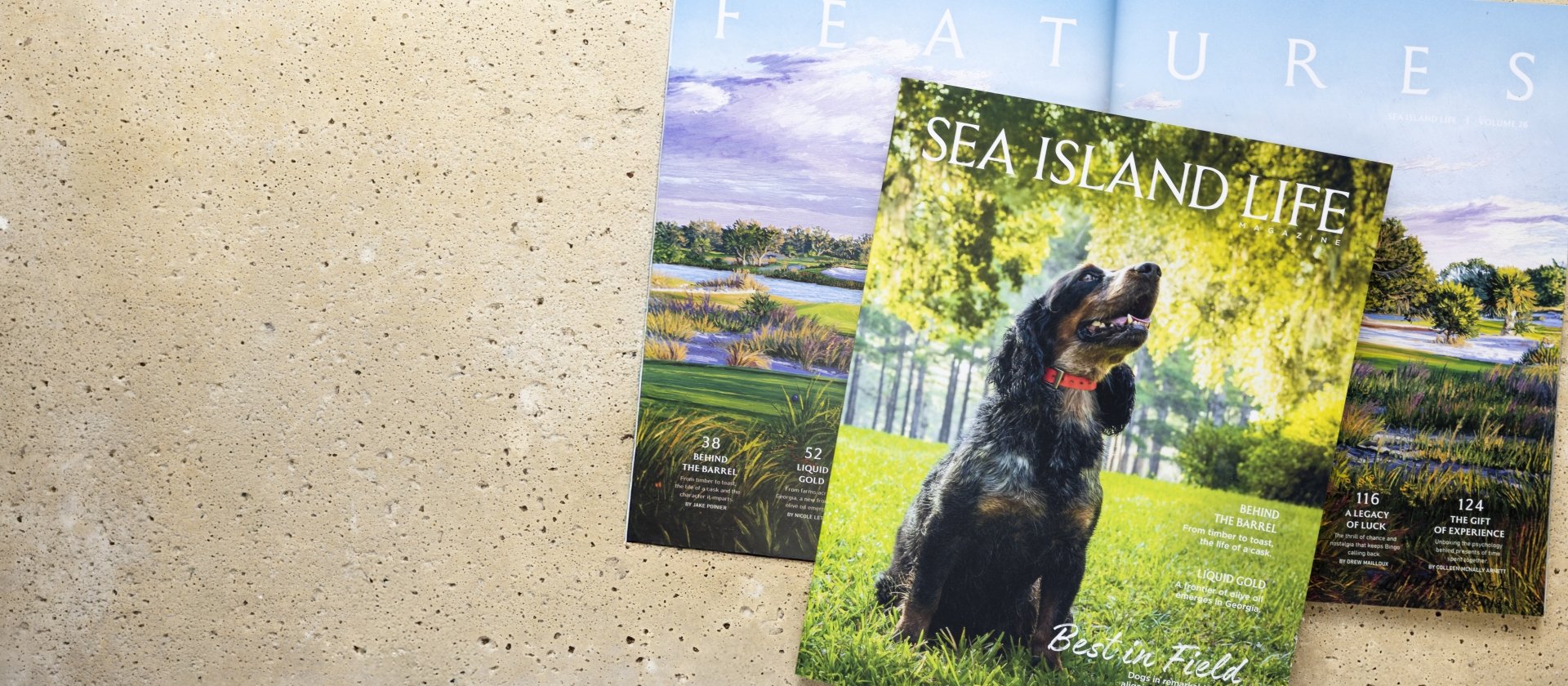 Sea Island Life Magazine