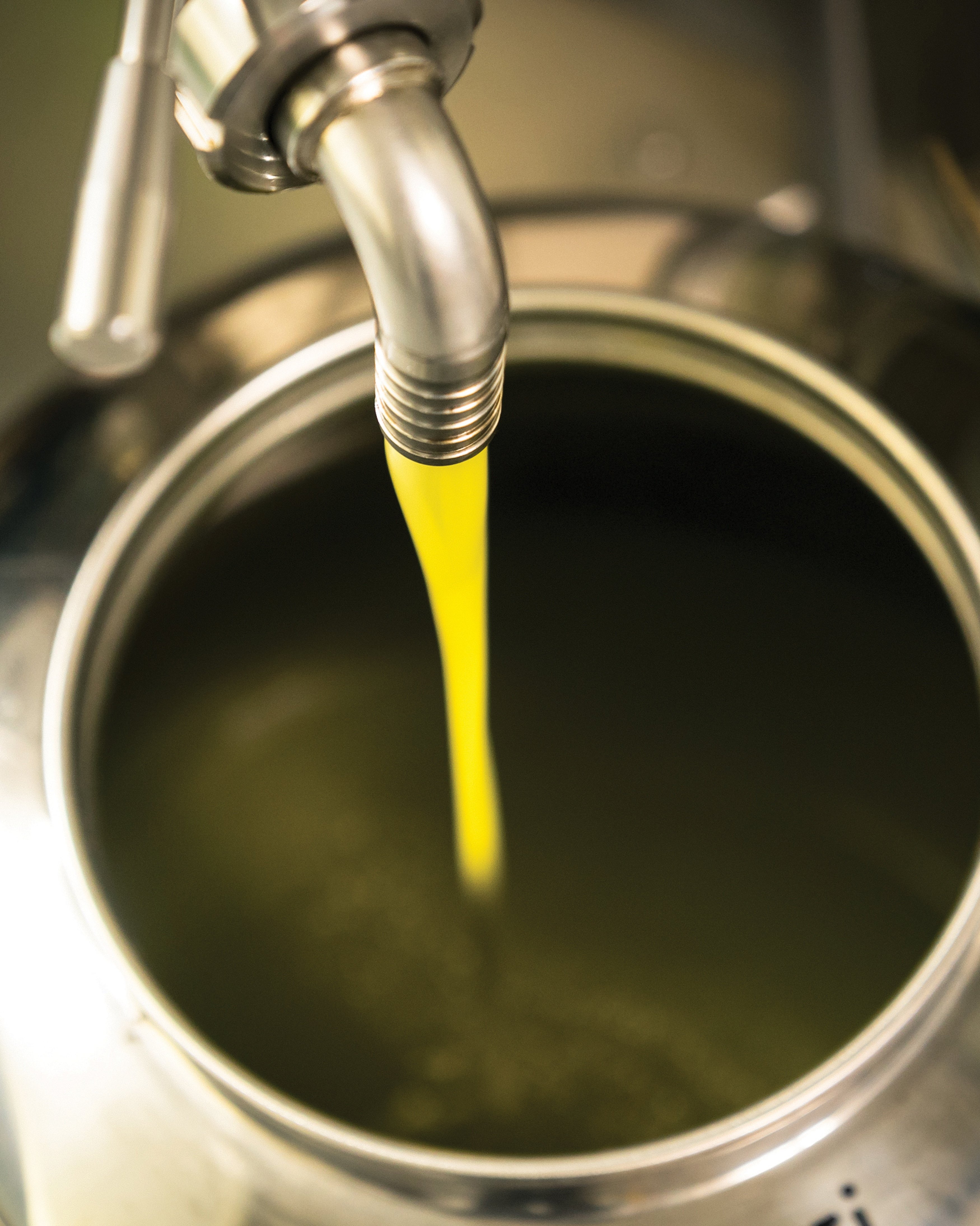 Extraction of oil from olives in a modern farm.