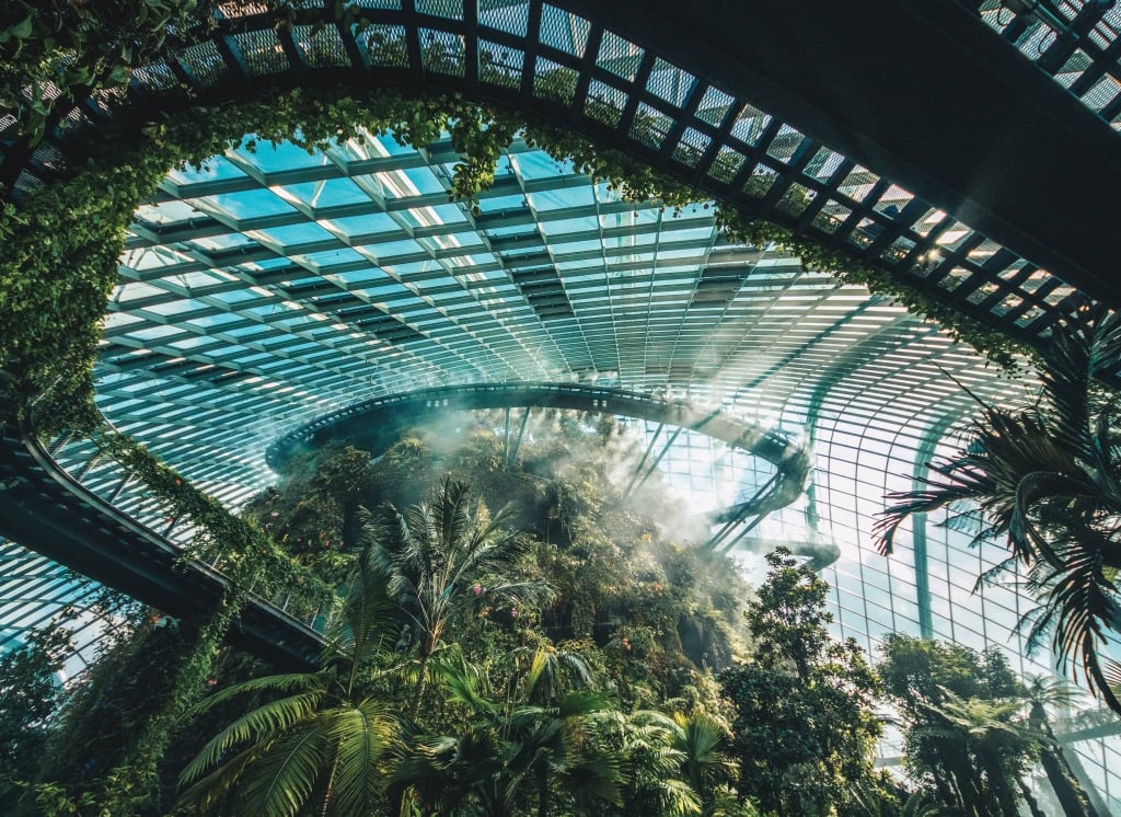 Cloud Forest Dome in Singapore