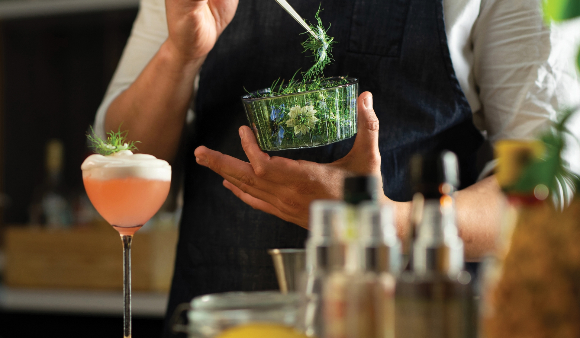 A White Male Bartender Wearing a White Shirt and a Dark Grey Apron Preparing a Pink Cocktail in a Fancy Glass Garnishing it With Green Herbs.