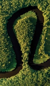 Aerial view of the Altamaha River